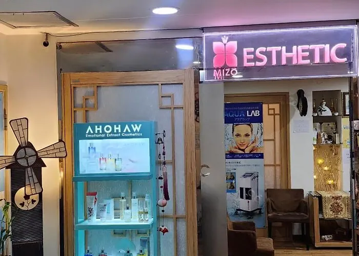 Mizo Hotel